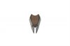 Golf Divot Tool